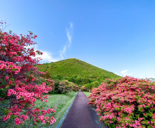 恵山つつじ公園